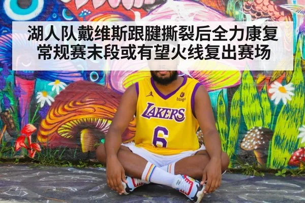 Los Angeles Lakers basketball game